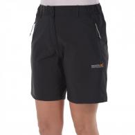 REGATTA Fellwalk Strech Shorts GREY